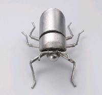 昆蟲標本箱藏品圖，第25張