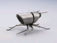 昆蟲標本箱藏品圖，第26張