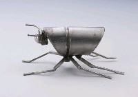 昆蟲標本箱藏品圖，第27張