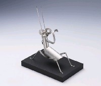 昆蟲標本箱藏品圖，第28張