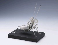 昆蟲標本箱藏品圖，第30張