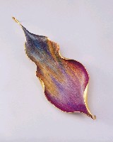 印象．花開的圖片