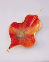 印象．花開的圖片