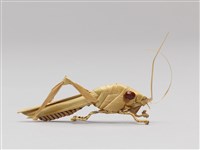 棕編昆蟲、爬蟲26個-10藏品圖，第4張