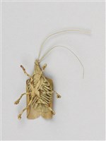 棕編昆蟲、爬蟲26個-12藏品圖，第7張