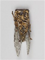 棕編昆蟲、爬蟲26個-16藏品圖，第7張