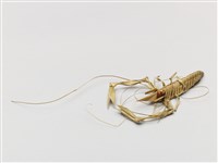 棕編昆蟲、爬蟲26個-20藏品圖，第1張