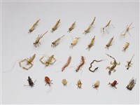 棕編昆蟲、爬蟲26個藏品圖，第2張