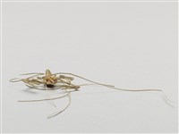 棕編昆蟲、魚蝦23個-5藏品圖，第5張
