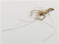 棕編昆蟲、魚蝦23個-5藏品圖，第1張
