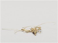 棕編昆蟲、魚蝦23個-6藏品圖，第3張