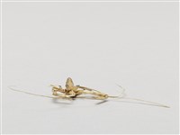 棕編昆蟲、魚蝦23個-6藏品圖，第5張