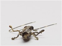 棕編昆蟲、魚蝦23個-7藏品圖，第3張