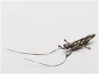 棕編昆蟲、魚蝦23個-7藏品圖，第1張