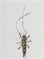 棕編昆蟲、魚蝦23個-7藏品圖，第6張