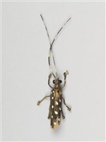 棕編昆蟲、魚蝦23個-9藏品圖，第6張