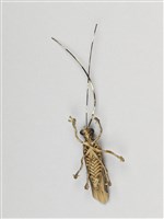 棕編昆蟲、魚蝦23個-9藏品圖，第7張