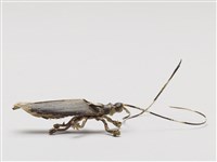 棕編昆蟲、魚蝦23個-13藏品圖，第4張