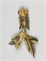 棕編昆蟲、魚蝦23個-20藏品圖，第6張