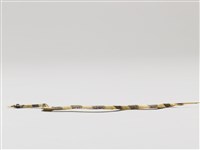 棕編昆蟲、爬蟲魚蝦23個-23藏品圖，第2張