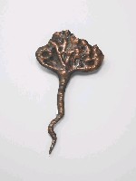 The floral sensation藏品圖，第1張