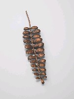 The floral sensation藏品圖，第1張