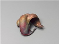 拙納自在的圖片