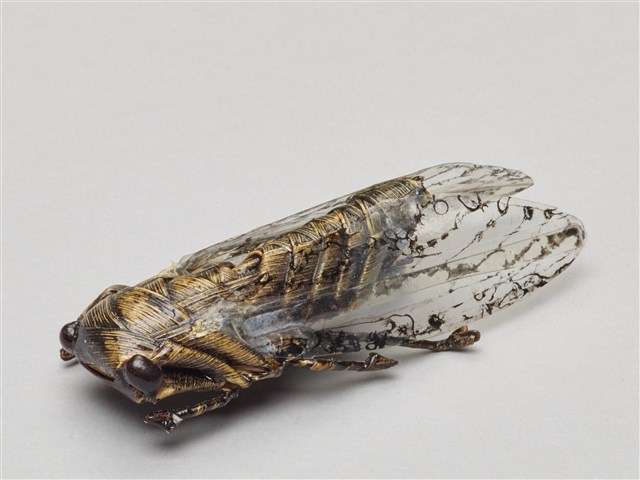 棕編昆蟲、爬蟲26個-16的圖片