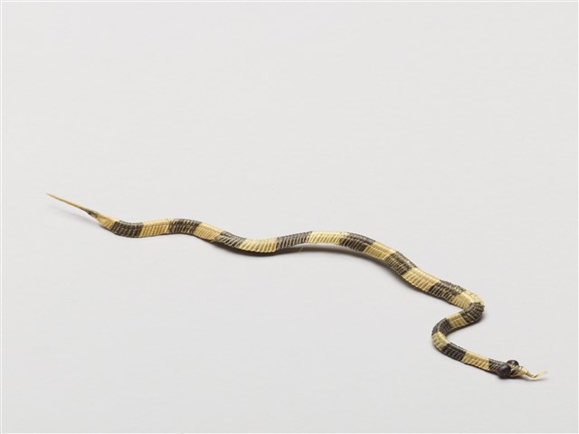 棕編昆蟲、爬蟲魚蝦23個-23的圖片