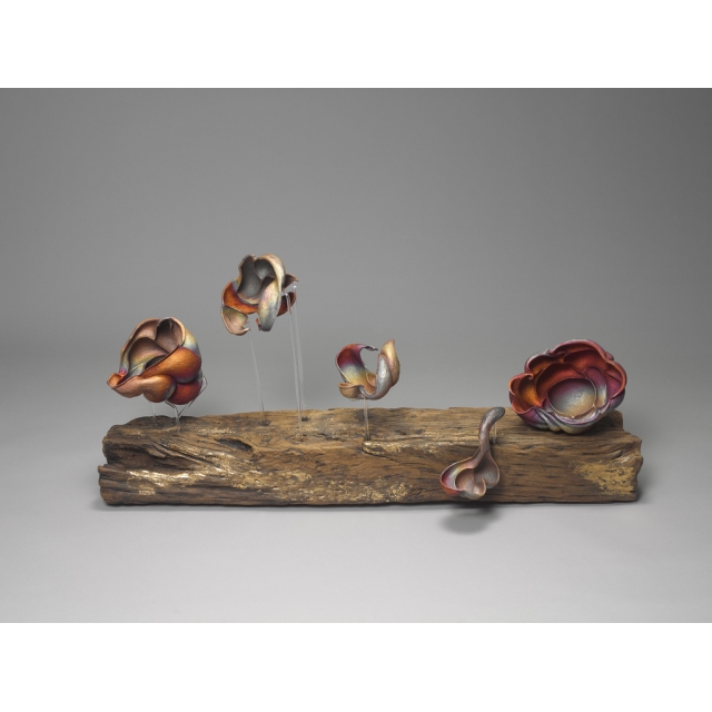 拙納自在 的圖片