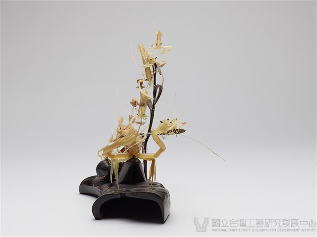 子母蝦藏品圖，第2張