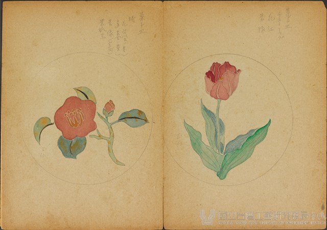 雙面繪設計草圖－鬱金香、茶花藏品圖，第1張