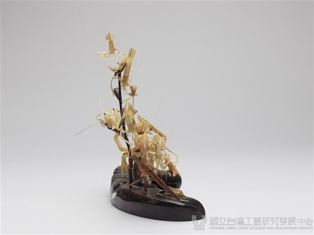 子母蝦藏品圖，第4張