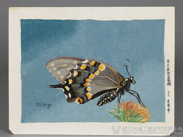 東方黑色金鳳蝶藏品圖，第1張