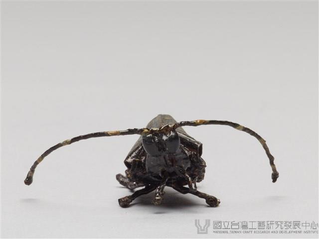 棕編昆蟲、爬蟲26個-14藏品圖，第5張