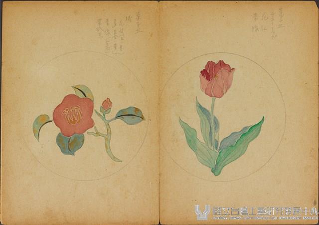 雙面繪設計草圖－鬱金香、茶花藏品圖，第1張