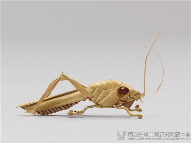 棕編昆蟲、爬蟲26個-10藏品圖，第4張