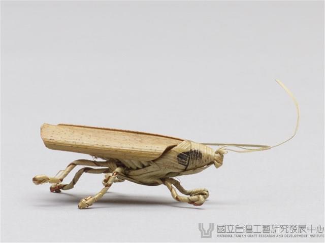 棕編昆蟲、爬蟲26個-12藏品圖，第4張