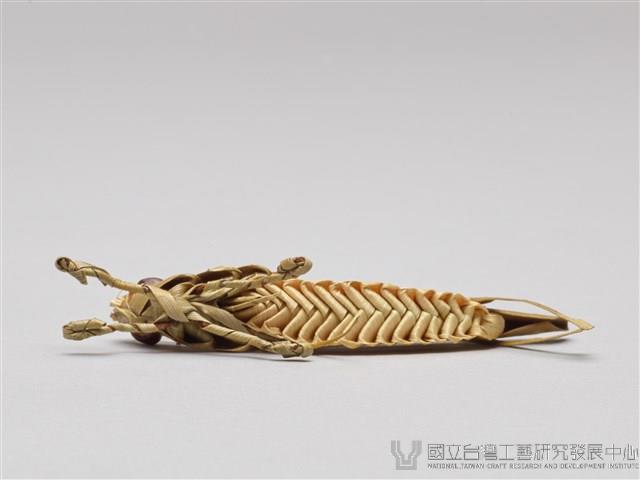 棕編昆蟲、爬蟲26個-6藏品圖，第7張