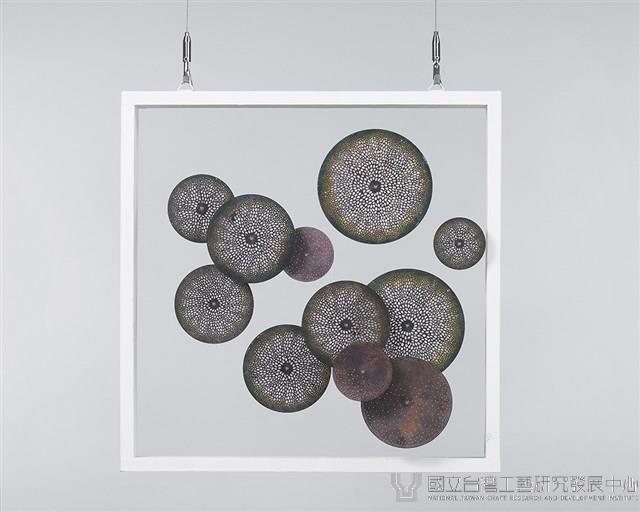 蛀在我的花園裡藏品圖，第1張