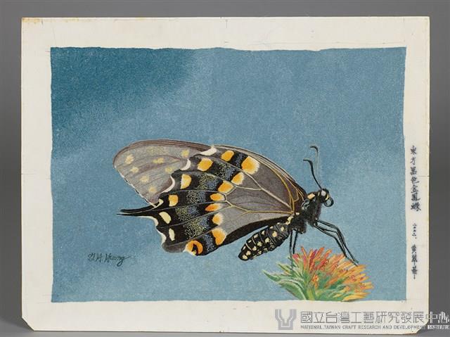 東方黑色金鳳蝶藏品圖，第1張