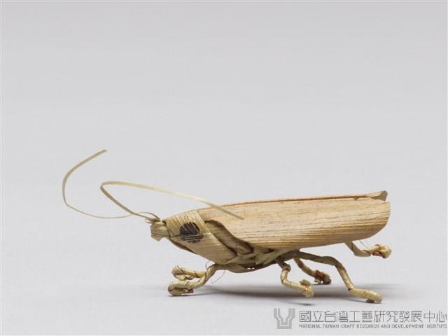 棕編昆蟲、爬蟲26個-12藏品圖，第2張