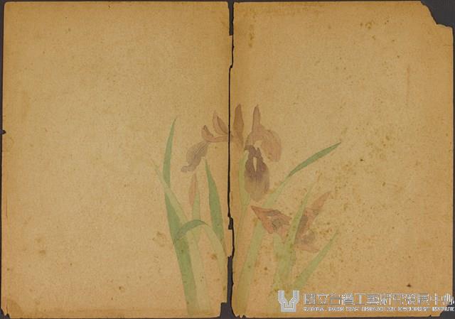 雙面繪設計草圖－菖蒲花與石榴藏品圖，第2張