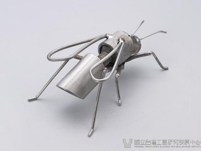 昆蟲標本箱藏品圖，第23張