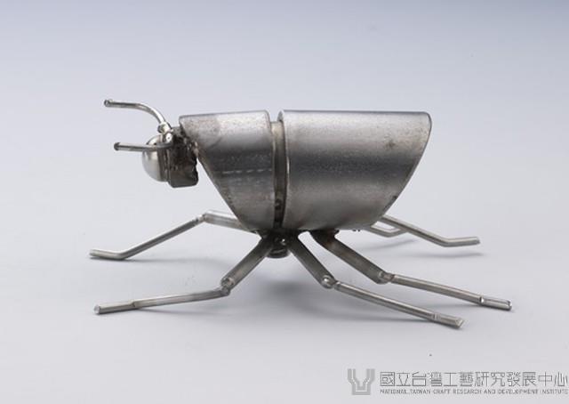 昆蟲標本箱藏品圖，第27張