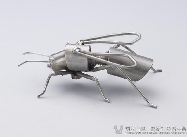 昆蟲標本箱藏品圖，第24張