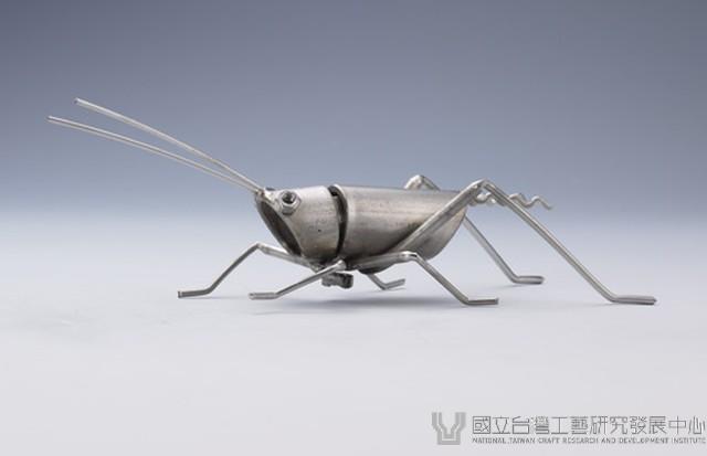 昆蟲標本箱藏品圖，第21張