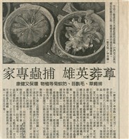 草莽英雄 捕蟲專家藏品圖，第1張