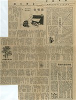 真情集藏品圖，第15張