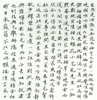 白髮是榮耀的冠冕藏品圖，第2張